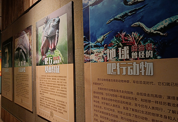 蛇文化展览馆第 29 张图片