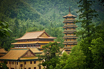 天目山自然保护区第 28 张图片