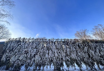 亚布力林海雪原人家第 9 张图片