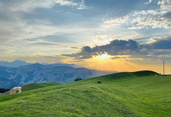 南山牧场西白杨沟景区第 41 张图片