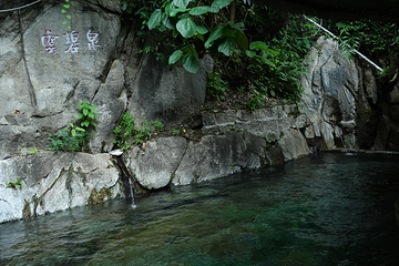 腾冲樱花谷森林温泉景区第 20 张图片