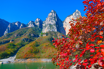 云台山风景名胜区第 35 张图片