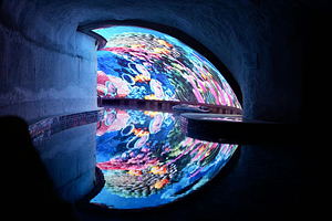 【成都】冬日水世界——探秘海盗巢穴