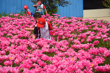 药王谷中医药旅游景区第 5 张图片