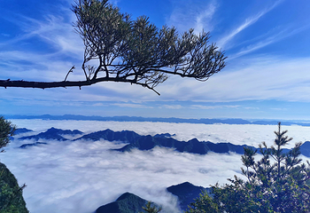 秦岭天竺山生态文化旅游景区第 23 张图片