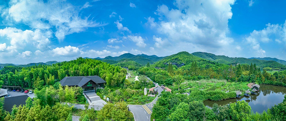 湖州长颈鹿庄园第 5 张图片