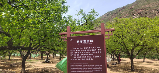 挂云山景区第 13 张图片