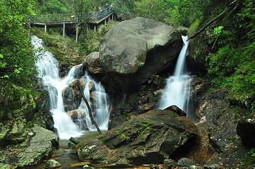 莽山旅游区国家森林公园第 6 张图片