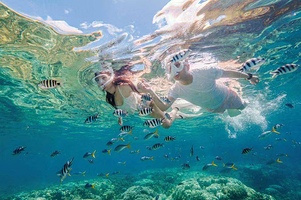 美人鱼冲浪俱乐部(后海店)