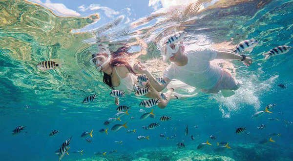 美人鱼冲浪俱乐部(后海店)