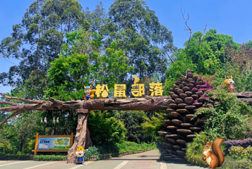 松鼠的森林第 23 张图片