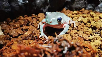 虫虫屋沉浸式昆虫萌宠科普体验馆