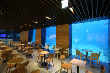济州岛Aqua Planet水族馆第 12 张图片