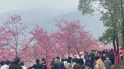 佐家寨生态乐园第 1 张图片