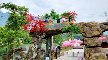 心语岛 · 梦幻秘境