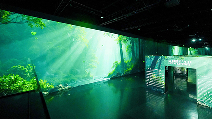 ARTE MUSEUM 成都第 9 张图片