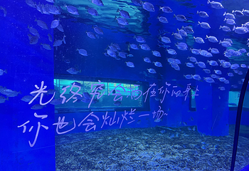 临汾海昌海洋探索馆第 98 张图片