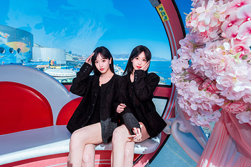 海合安青岛极地海洋公园第 24 张图片
