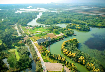 大湾区中央湿地公园第 4 张图片