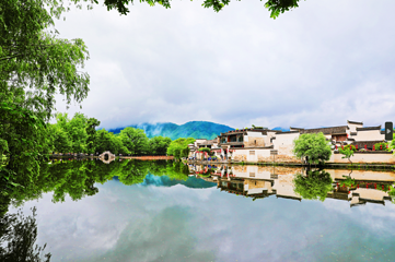 宏村景区第 208 张图片