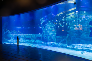 河内乐天世界水族馆