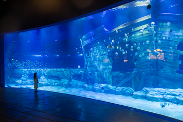 河内乐天世界水族馆第 15 张图片