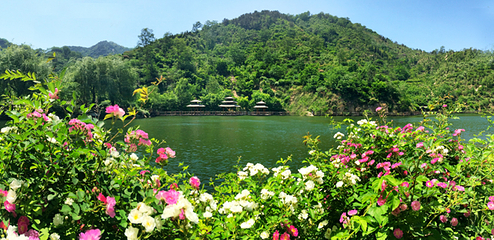 九如山休闲旅游度假区第 168 张图片