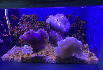 昭通海洋大世界第 6 张图片