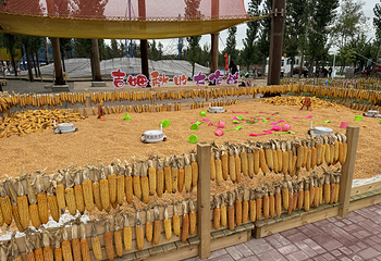吉姆国际冒险世界(北辰店)第 43 张图片