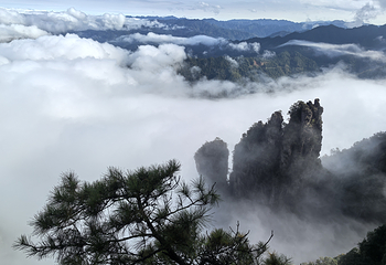 大瑶山盘王界景区第 64 张图片