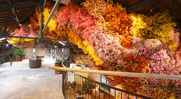 无界美罗小奢中心