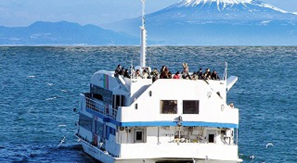 富士山清水港游船