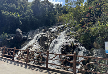 霸王岭第 40 张图片