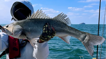 头号玩家连云港国际海钓俱乐部