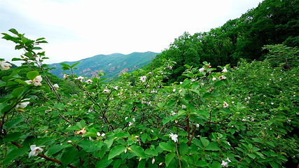 祖山风景区第 130 张图片