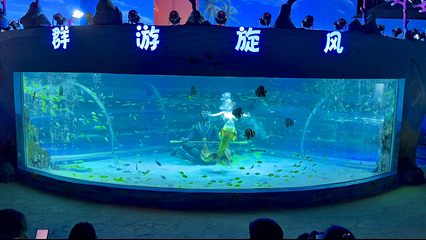梦幻海洋企鹅馆第 97 张图片