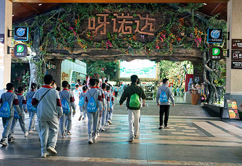 呀诺达热带雨林第 16 张图片