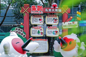 下渚湖·奇幻谷第 21 张图片