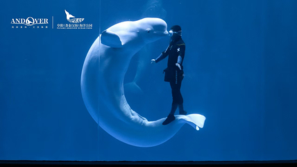 阜阳尧泰汉海海洋公园第 38 张图片
