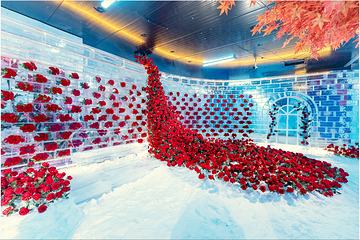 华夏冰雪世界(郑州店)第 2 张图片
