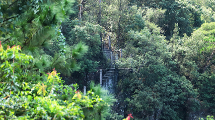 观音山旅游风景区第 253 张图片