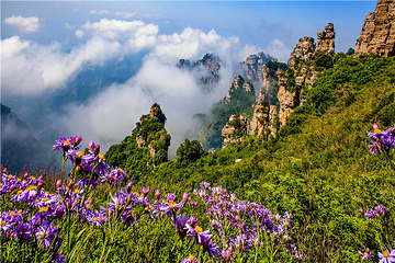 白石山世界地质公园第 108 张图片