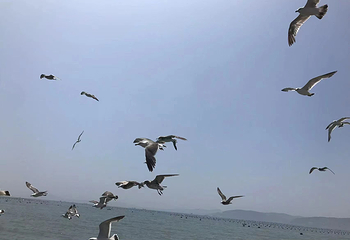 西海渔港赶海地第 17 张图片