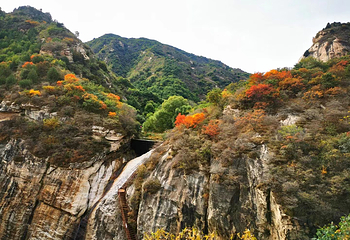 桃源仙谷自然风景区第 44 张图片