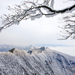 米仓山国家森林公园