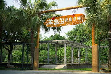 荷花奇境(三水荷花世界)第 12 张图片