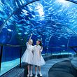 上海海洋水族馆