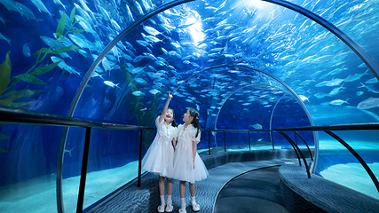 上海海洋水族馆第 1 张图片