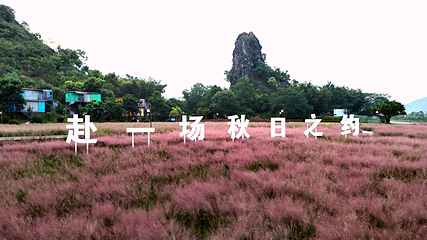 峰林晓镇第 210 张图片