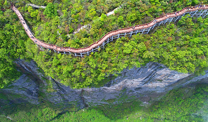 天门山国家森林公园第 74 张图片